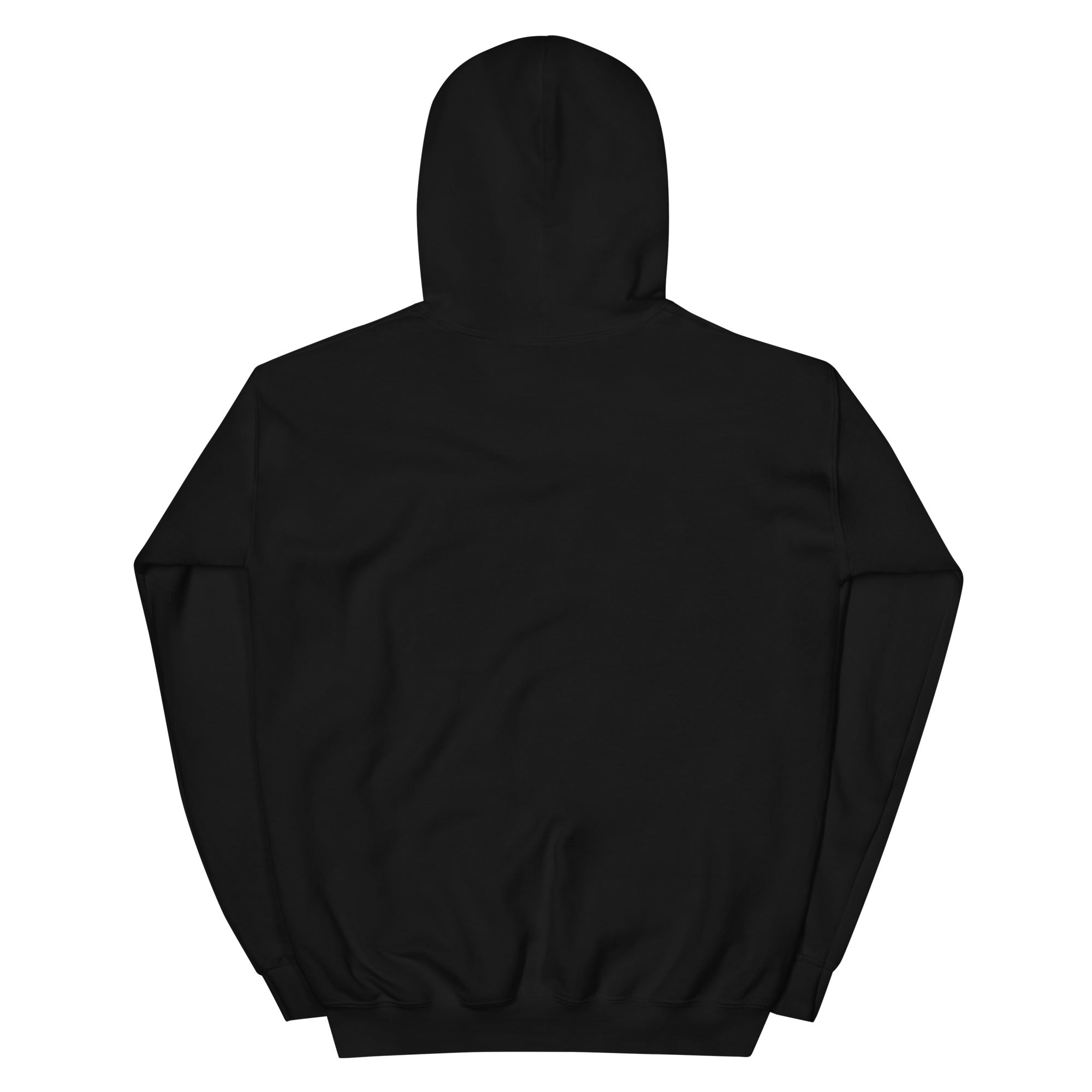 The Way - Unisex Hoodie - Christian Apparel by BASR Clothing