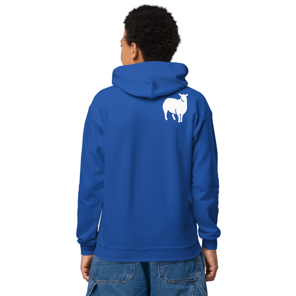 The Lord is my Shepherd - Youth heavy blend hoodie - Christian Apparel by BASR Clothing