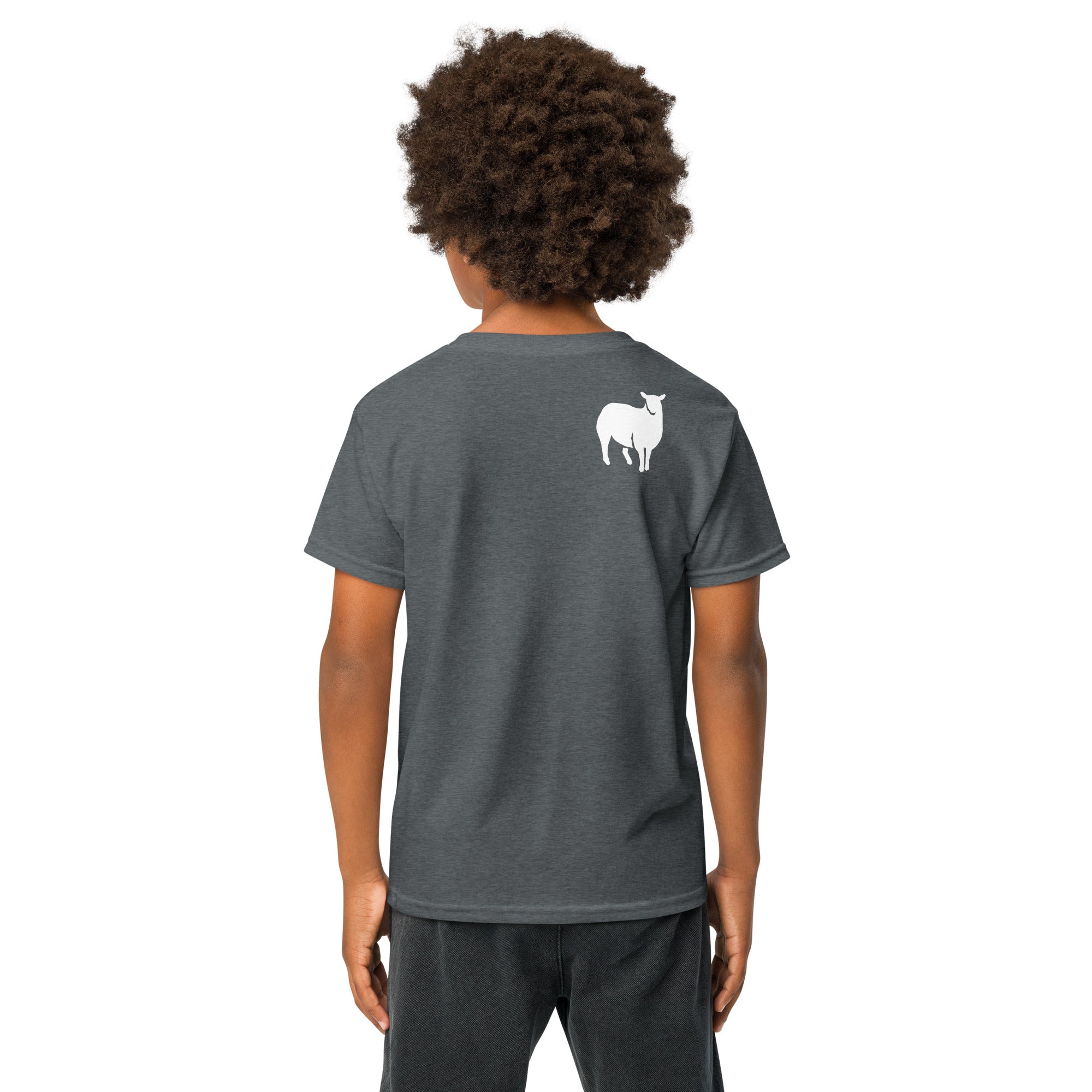 The Lord is my Shepherd - Youth t-shirt - Christian Apparel by BASR Clothing